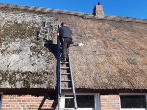 Reetdach polieren